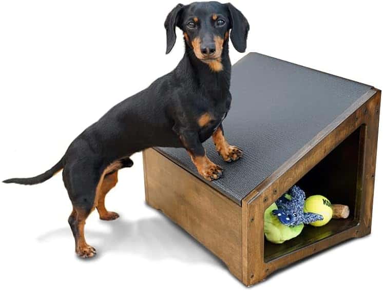 dogo ramps step