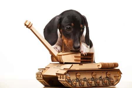 Black and tan Dachshund puppy sitting inside a wooden toy tank against white background 
