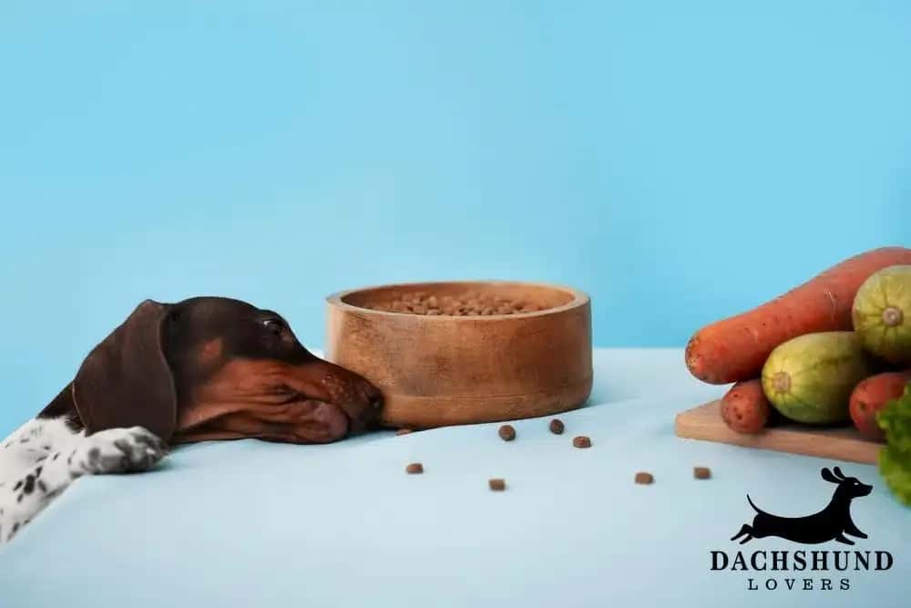 Dachshund reaching for dog food in wooden bowl next to vegetables, symbolizing weight gain causes