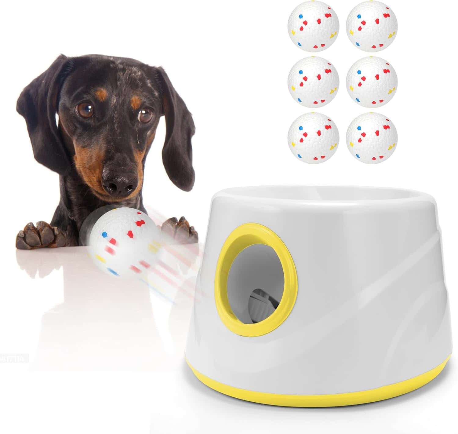 airshooter automatic dog ball launcher with black dachshund 