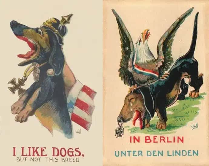 Illustration contrasts dachshunds with patriotic imagery and satire in a humorous, critical tone.