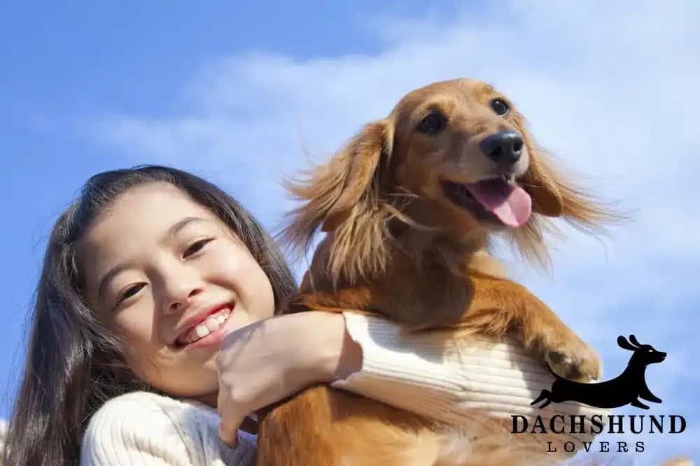 A smiling young girl embraces a happy brown dachshund against a bright blue sky.