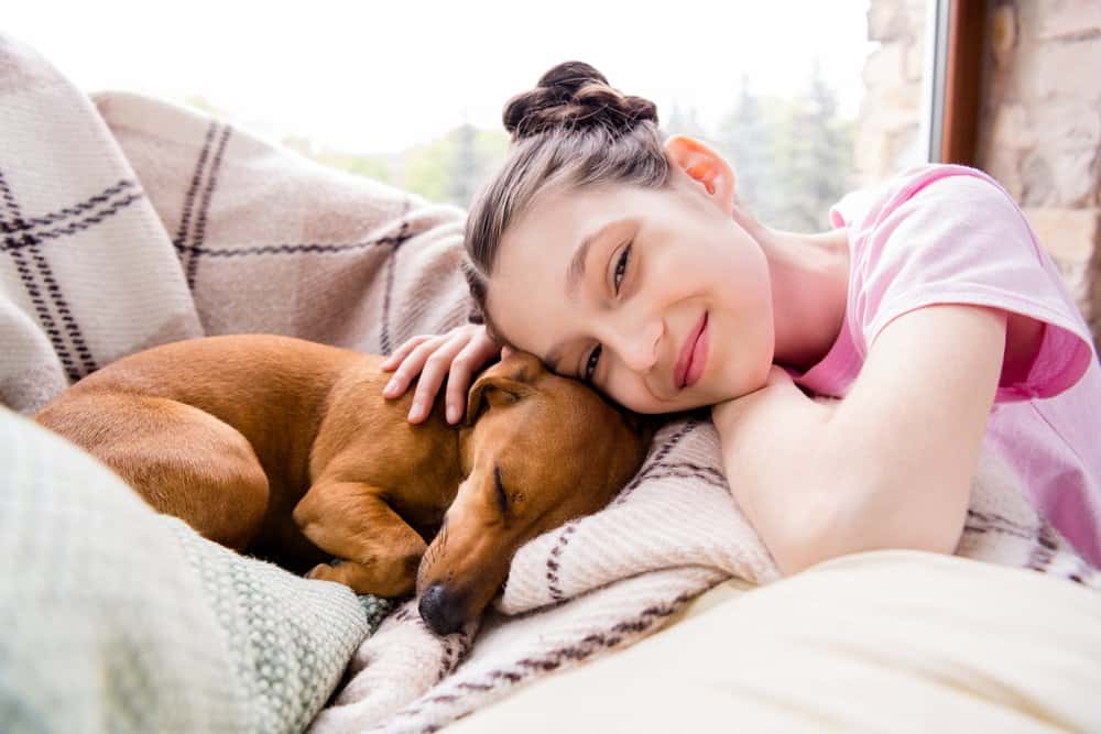 young girl cuddling a sleeping brown Dachshund on a cozy blanket indoors