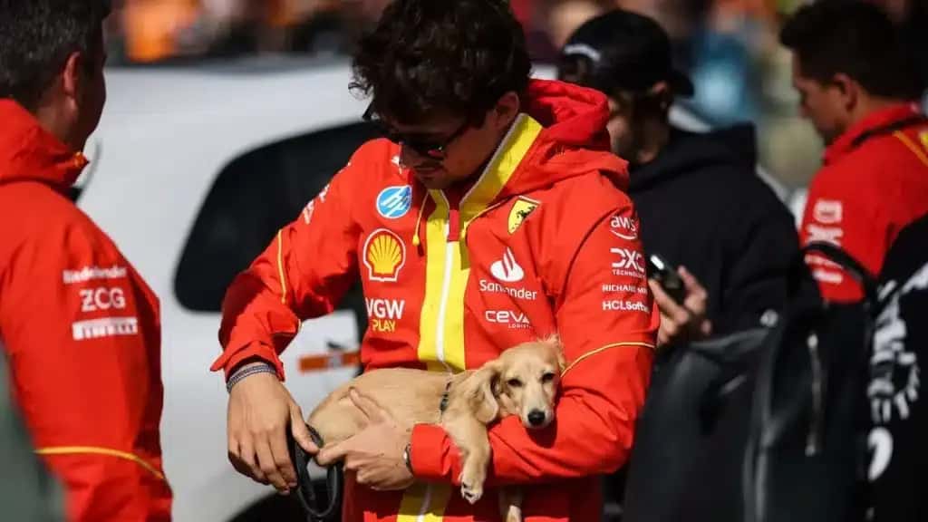 A person in a red racing jacket gently holds a small tan dog, creating a tender moment. Others in similar jackets stand nearby, suggesting a team environment.