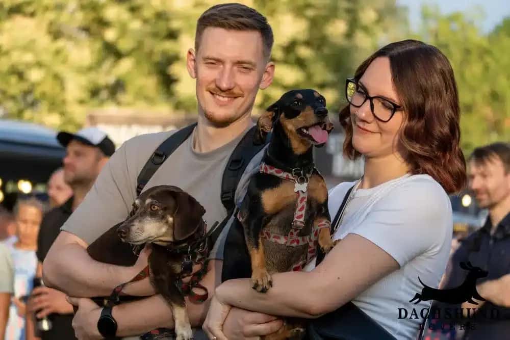 Happy couple holding their dachshunds at a dachshund meet-up, socializing with other dog owners