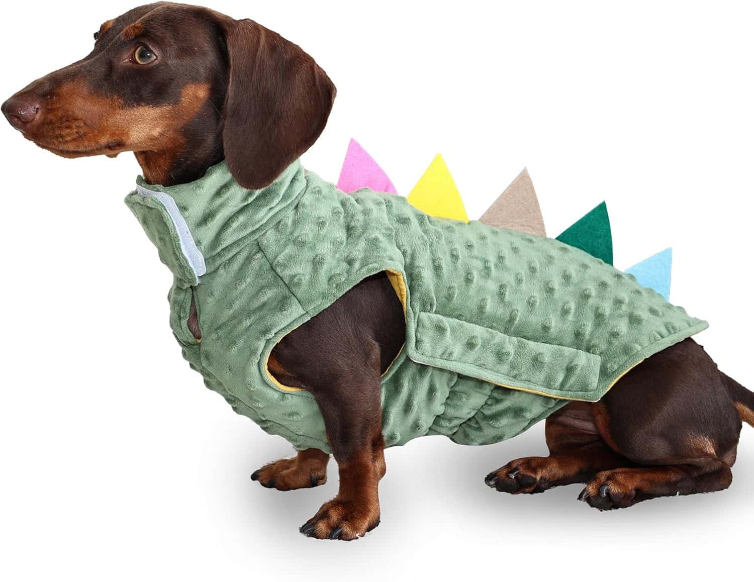 dinosaur dachshund dog shirt and costume