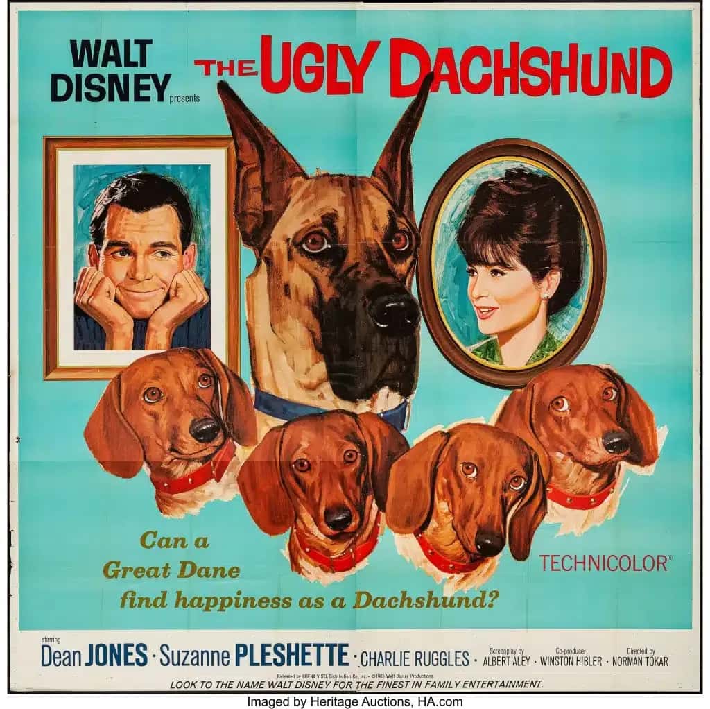 Vintage movie poster for "The Ugly Dachshund" features a Great Dane surrounded by Dachshunds. A man and woman portrait frame the dog scene, conveying a playful tone.