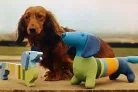 A brown dachshund sits outdoors beside two colorful dachshund-shaped sculptures, one in blue and yellow stripes, and the other in green and blue tones.
