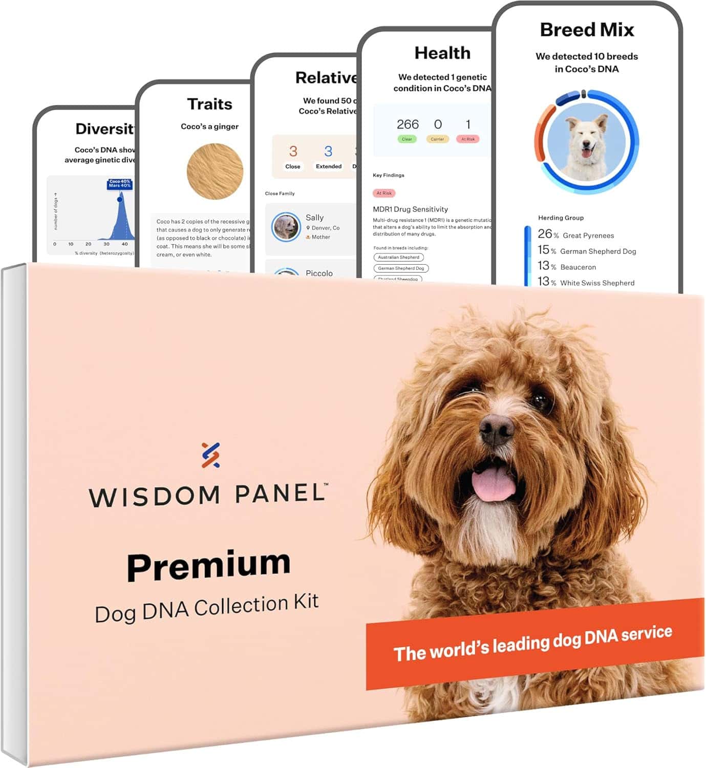 wisdom panel premium dog dna kit