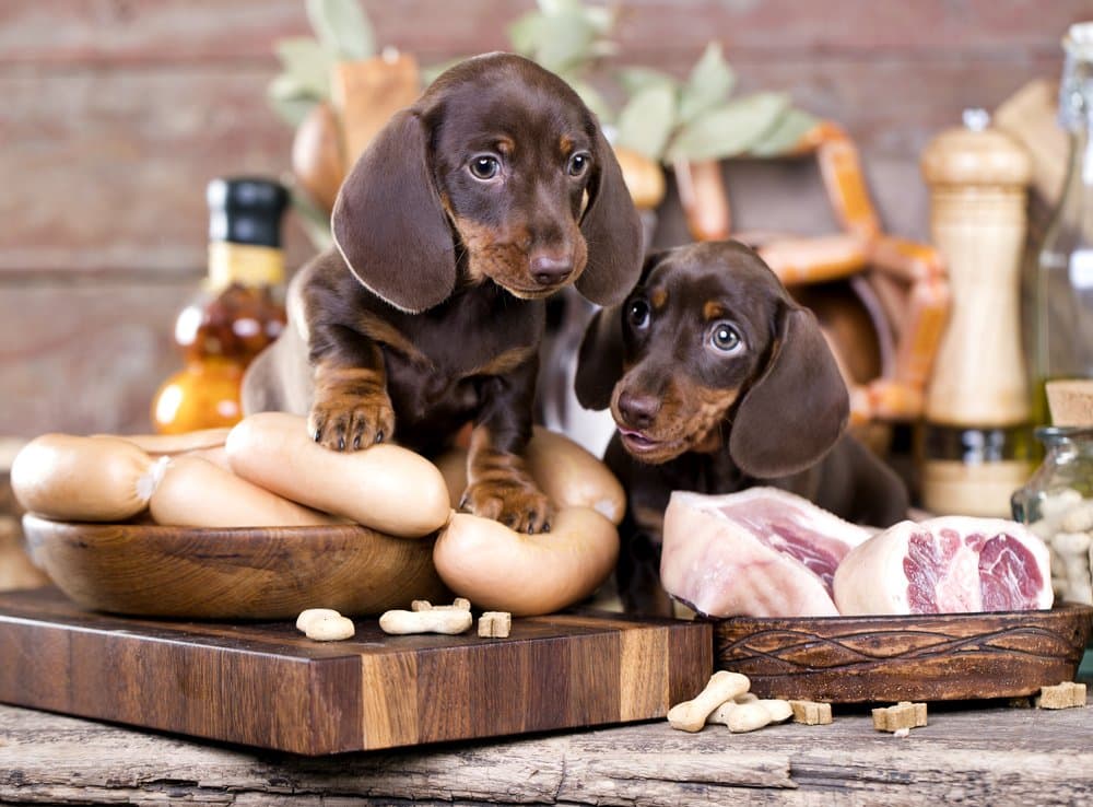 Two brown dachshund puppies sit among sausages and meat on a wooden table. The setting is rustic, and the puppies appear curious and playful.