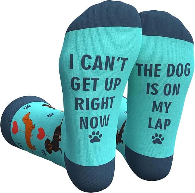 Cavertin Women's Socks Dachshund
