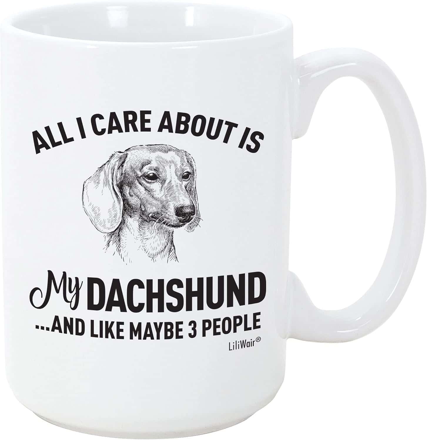 All I Care About Is My Dachshund Mug