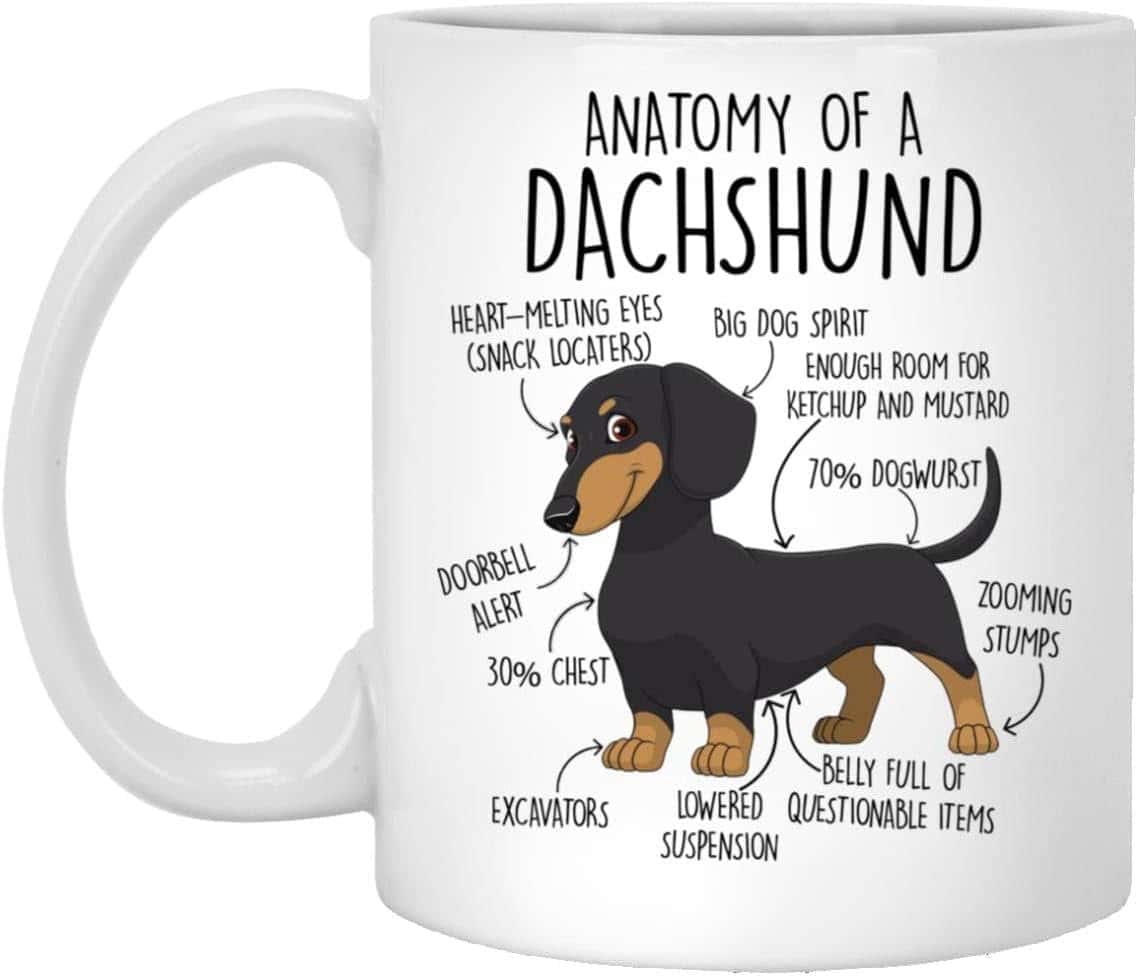 Anatomy of a Dachshund Mug