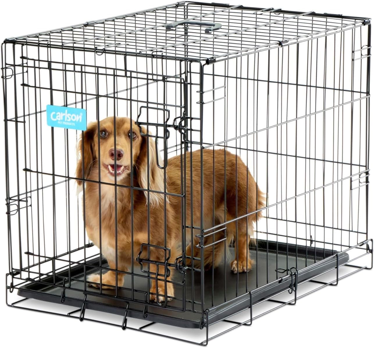 Carlson Small Foldable Metal Dog Crate 24x18x19