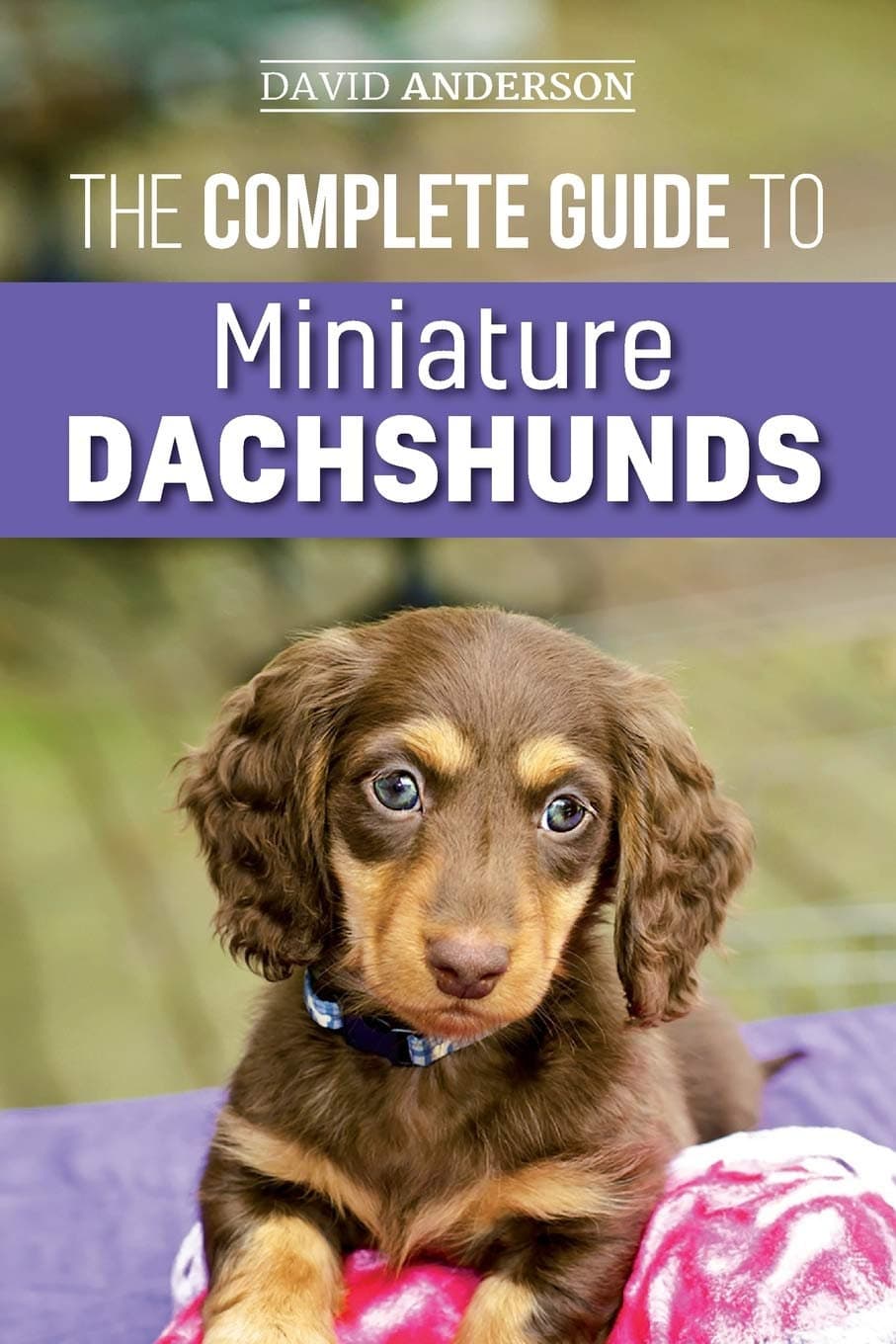 The Complete Guide to Miniature Dachshunds by David Anderson