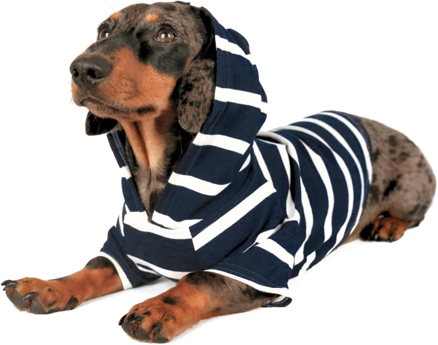 Navy Striped Dachshund Hoodie Django