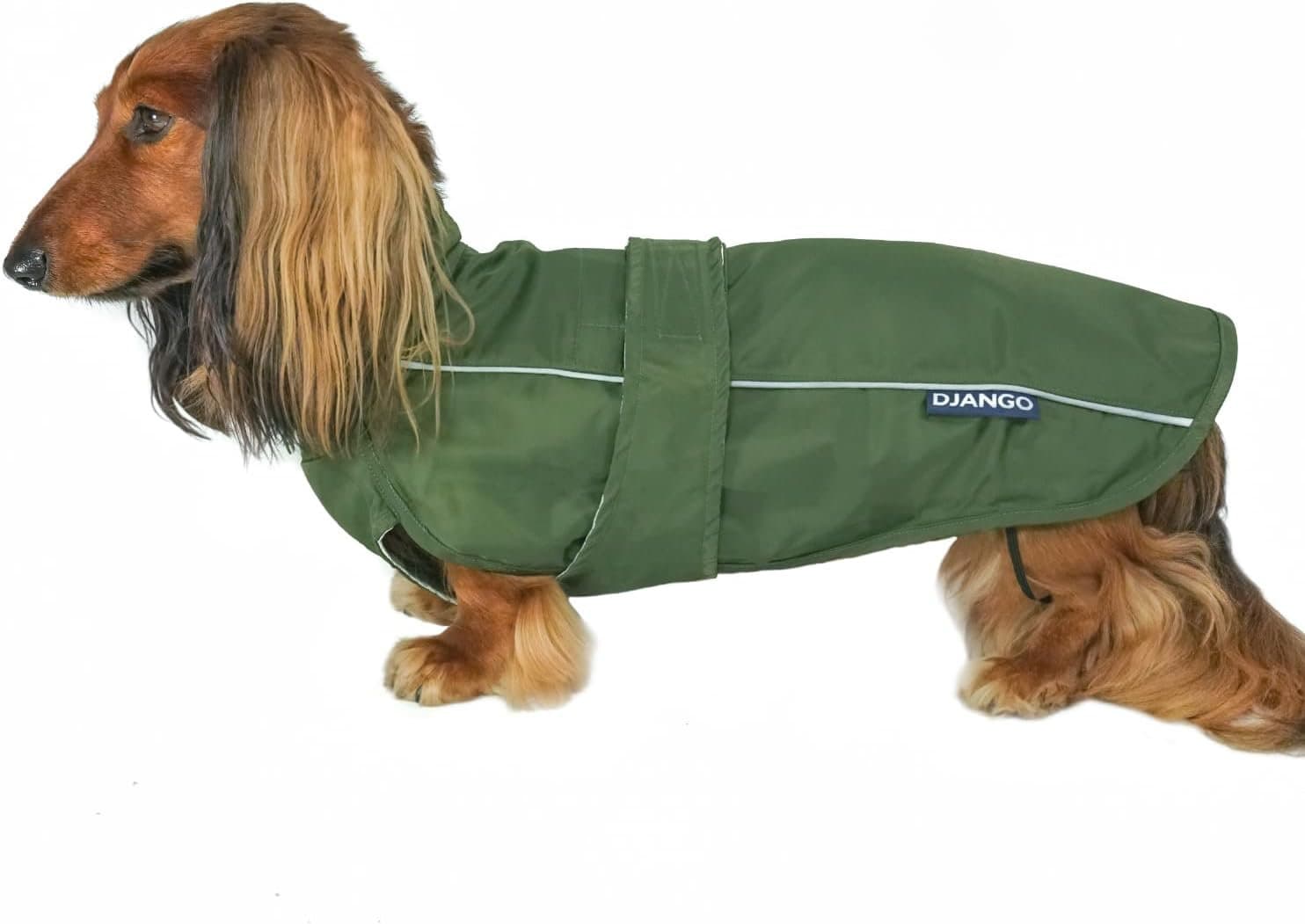 Dachshund Raincoat Kombu Green Django