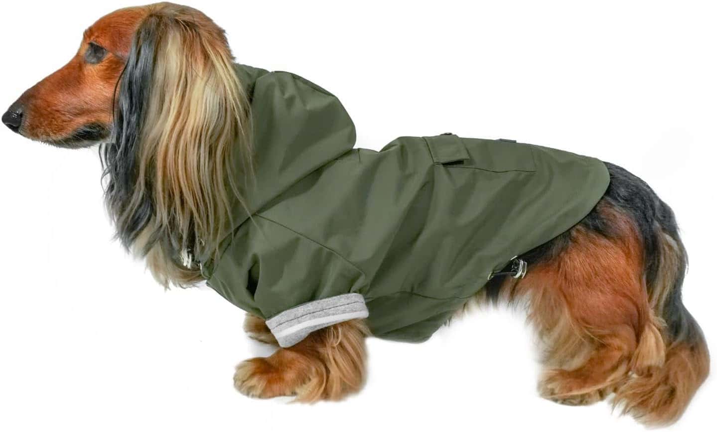 Highland Dachshund Winter Jacket Olive Django