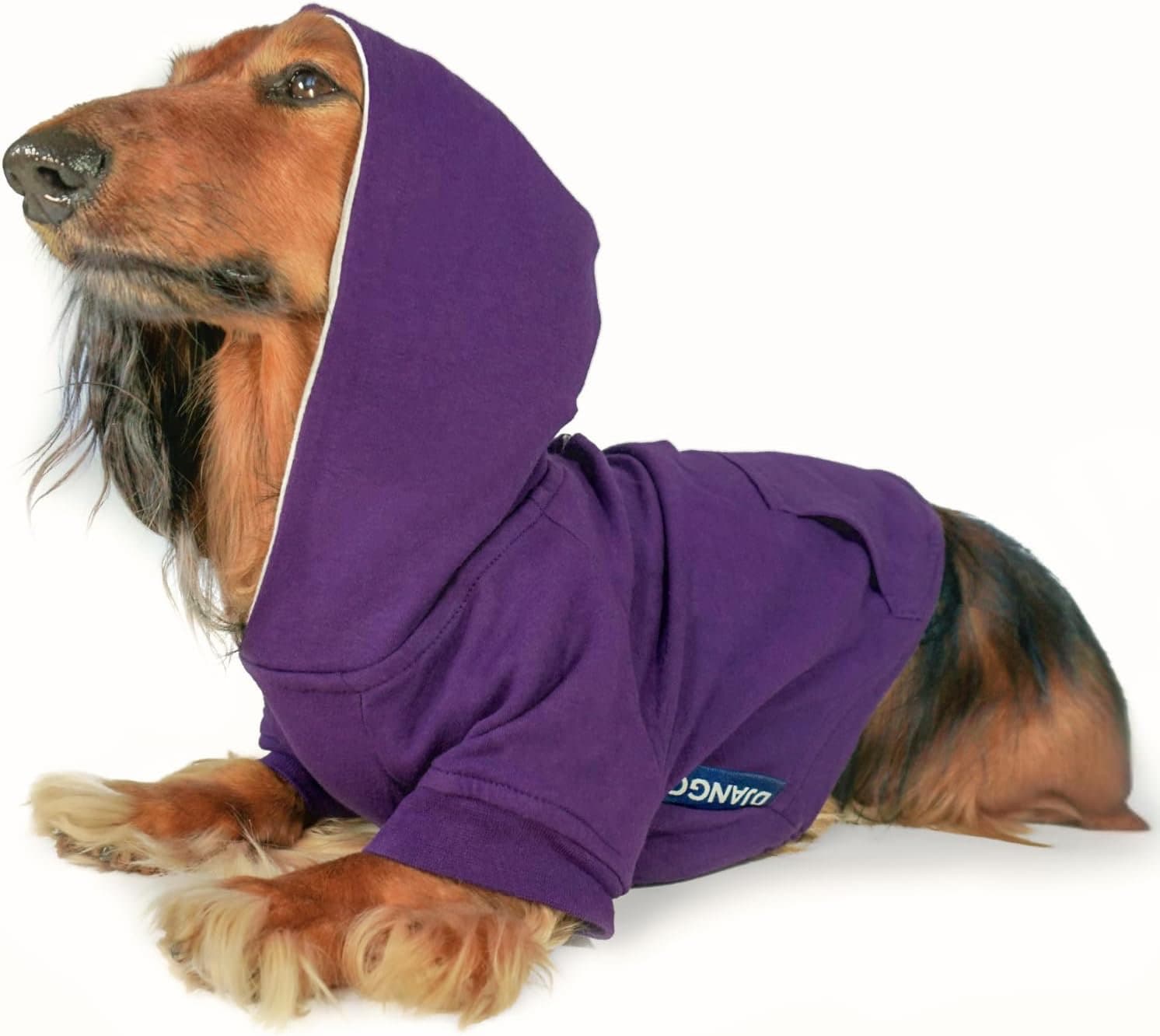 Dachshund Winter Lined Dog Hoodie Royal Purple Django