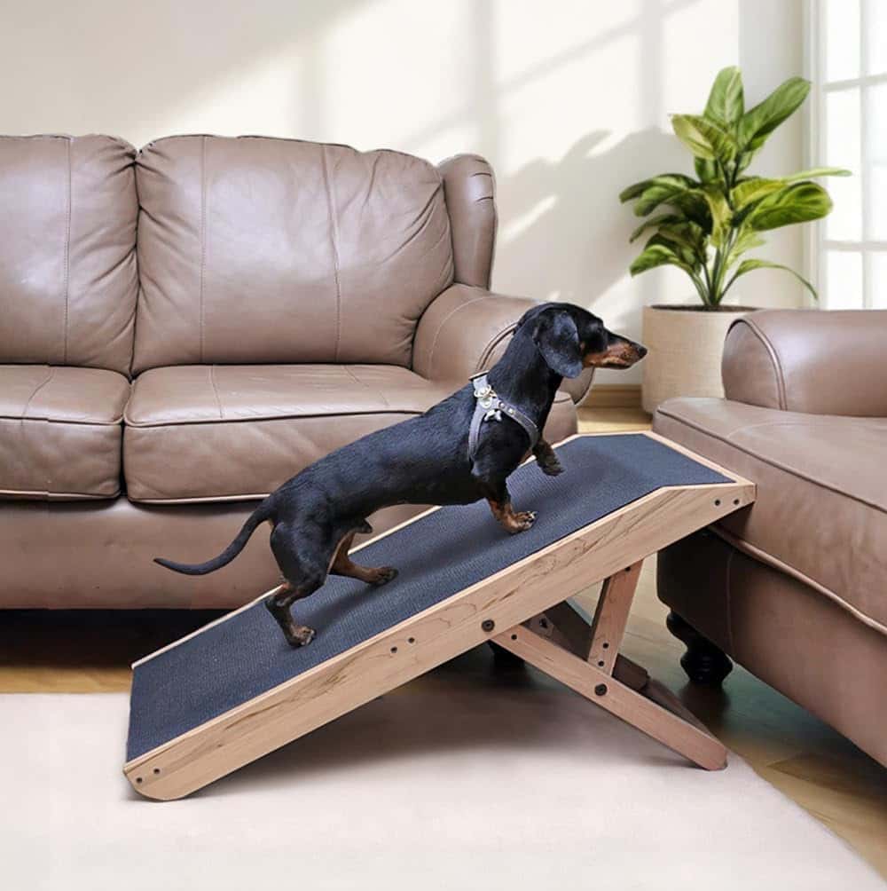 DoggoRamps Couch Ramp for Small Dogs