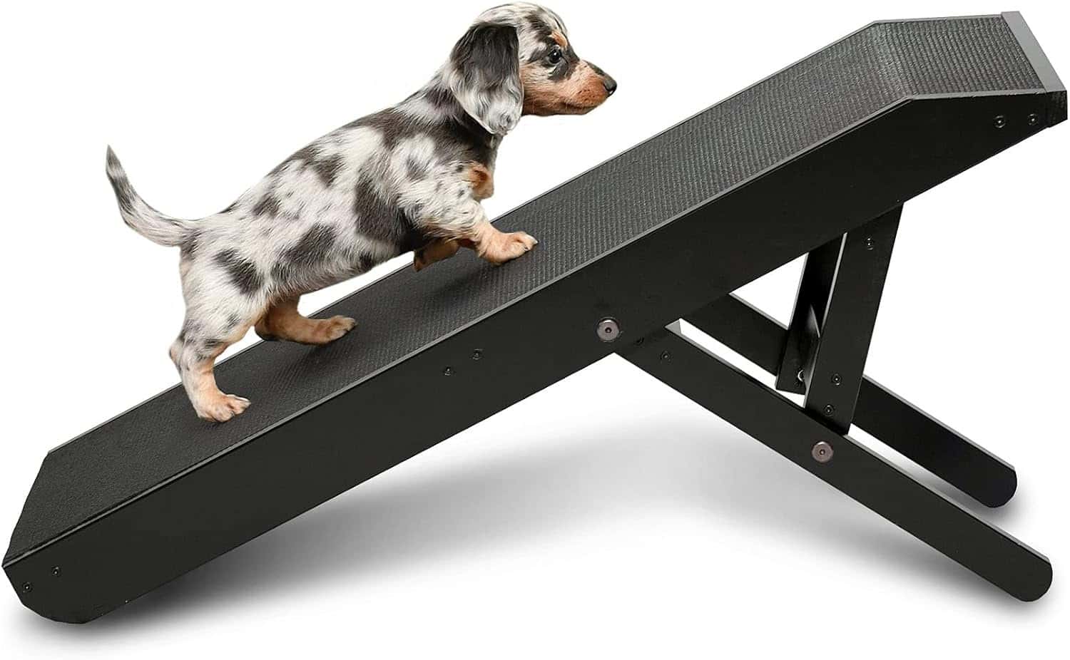 DoggoRamps Couch Ramp