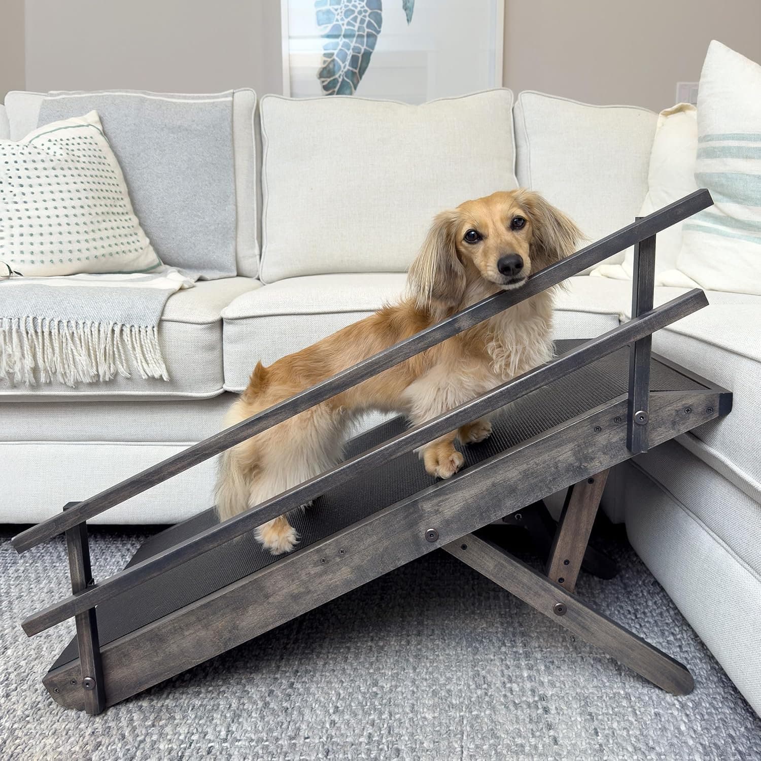 DoggoRamps Couch Ramp with Safety Rails