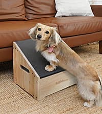 DoggoRamps Step Ramp