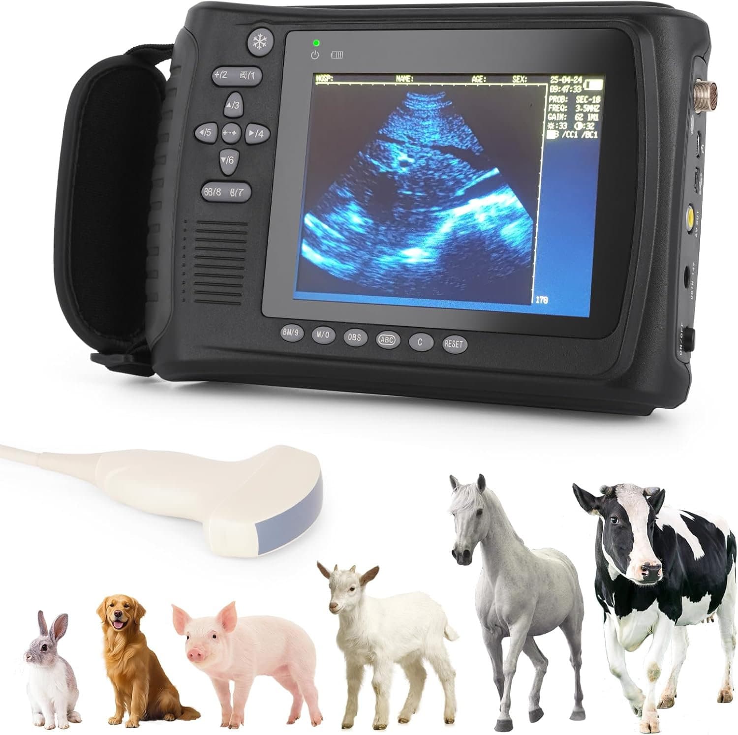 Portable Veterinary Ultrasound Machine