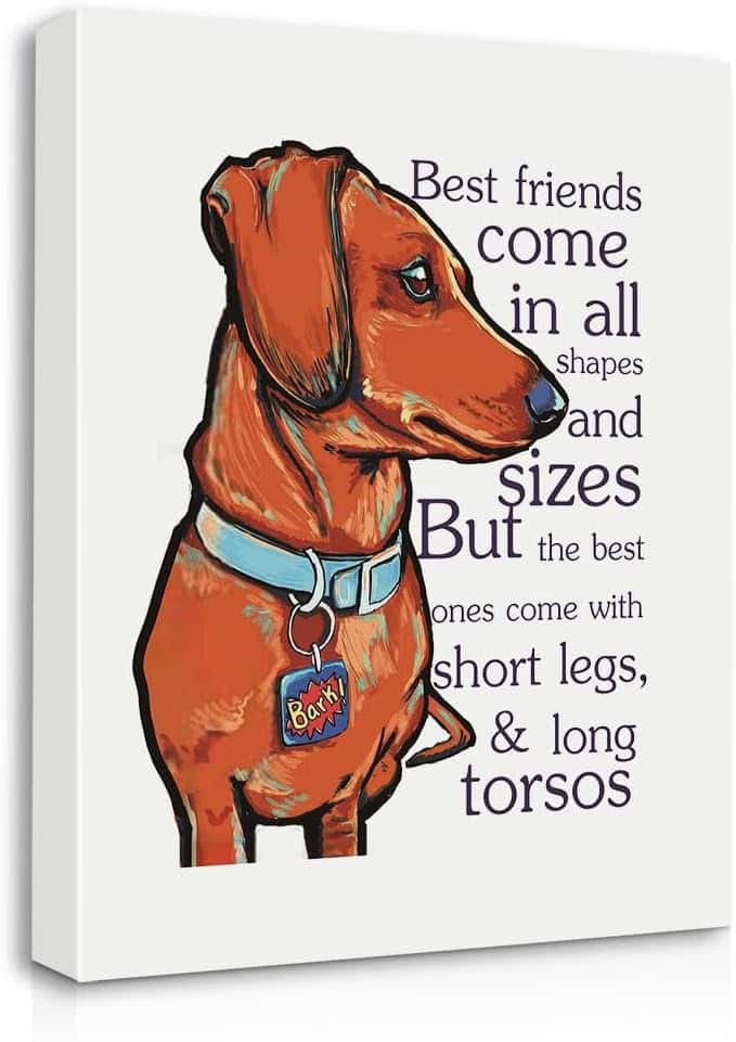 Funny Dachshund Short Legs Long Torso Canvas Siusue