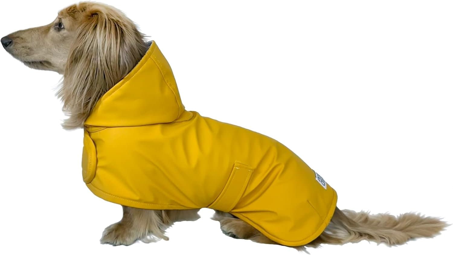 the hudson hound dachshund raincoat yellow