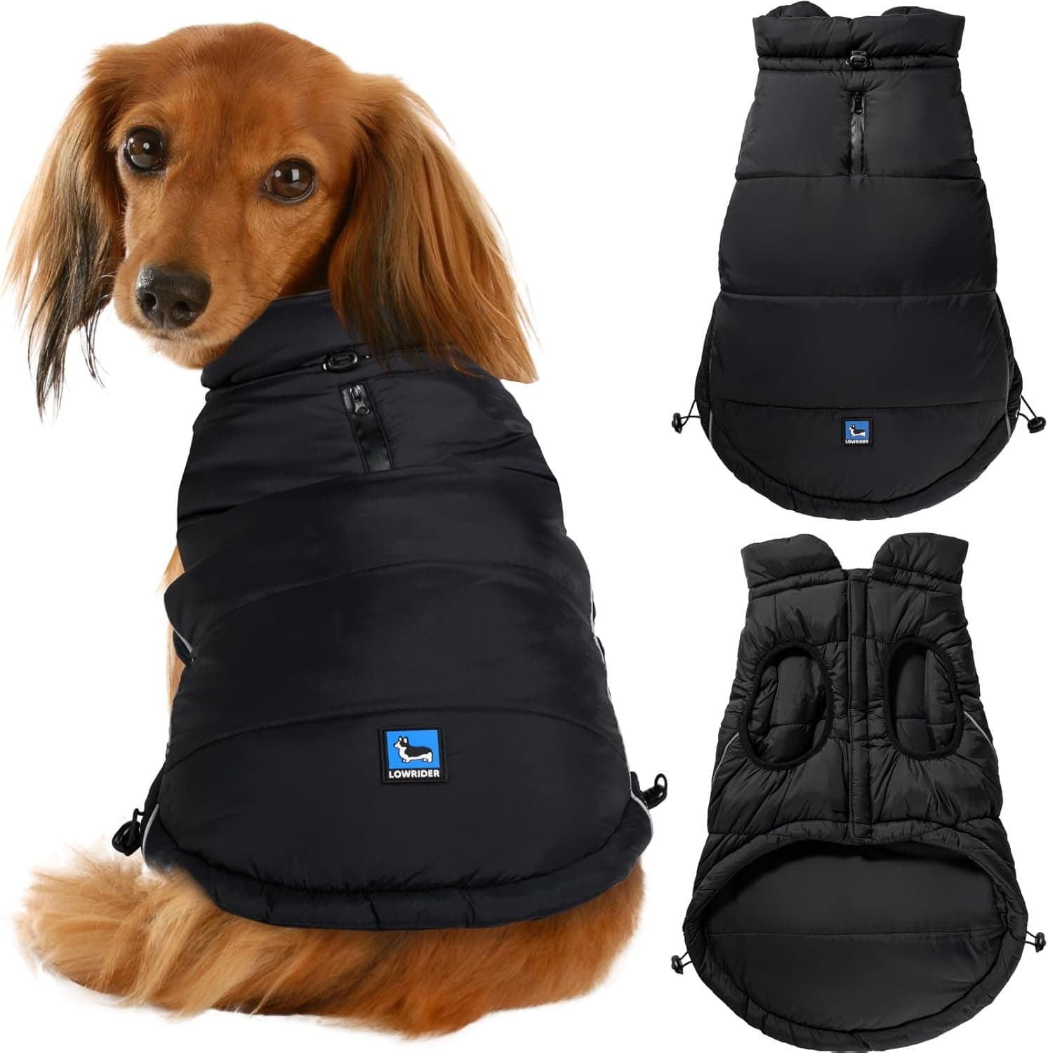 Dachshund in lowrider puffer coat black