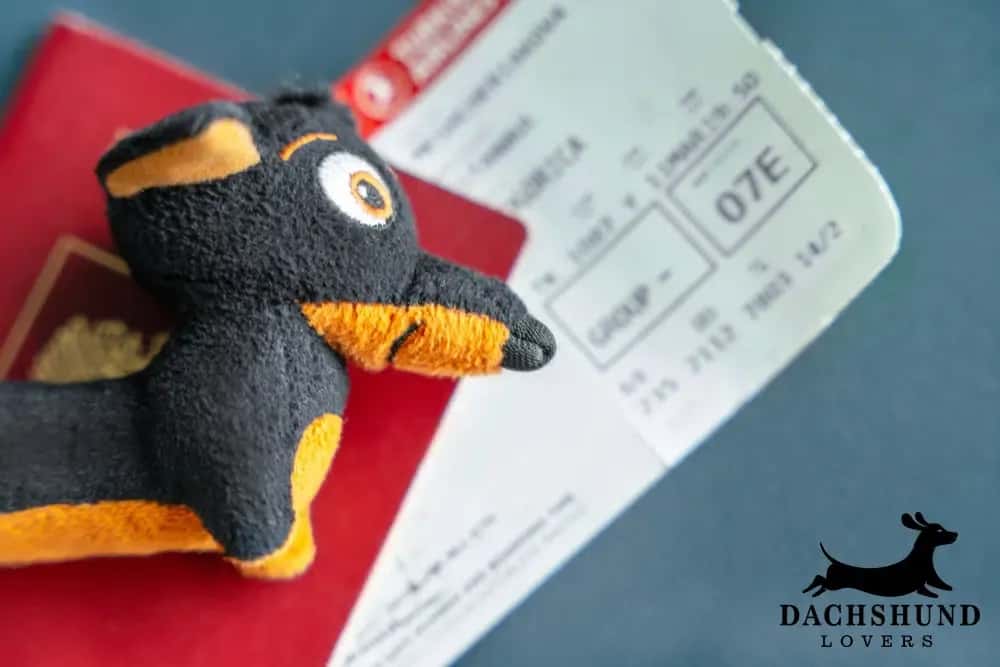 Plush dachshund toy on a red passport and airline ticket, evoking travel and adventure.
