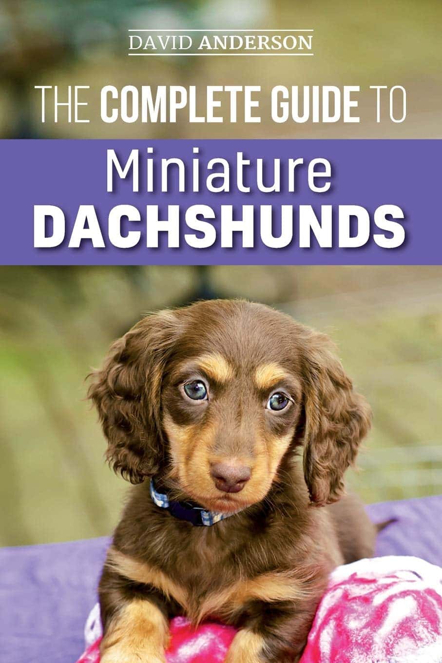 complete guide to miniature dachshunds book. Touches on obedience and training a dachshund