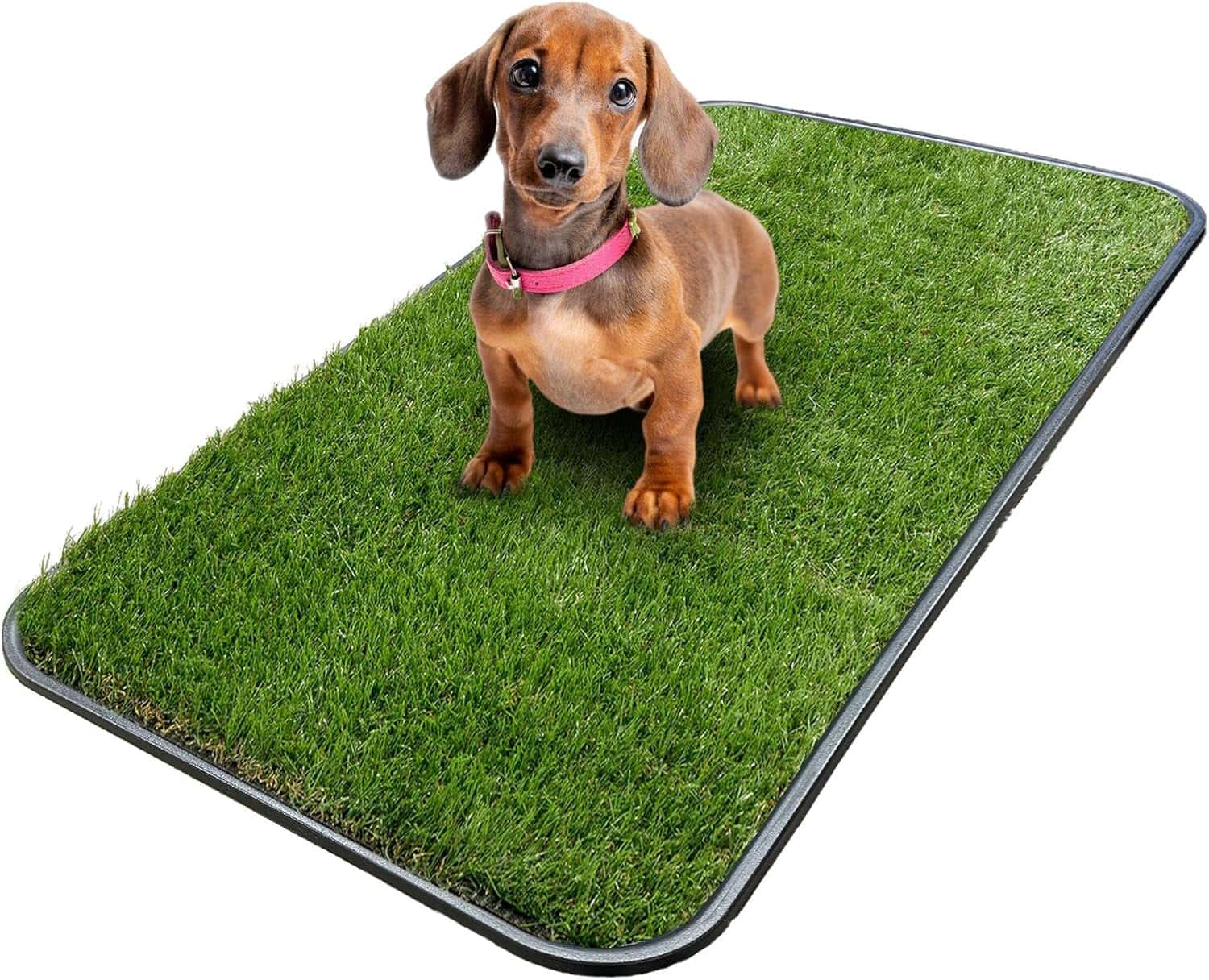 Ottomanson Artificial Grass Puppy Potty Training Pad With Tray With Red Dachshund