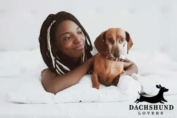 A woman with braided hair smiles while lying on a bed next to a brown dachshund.